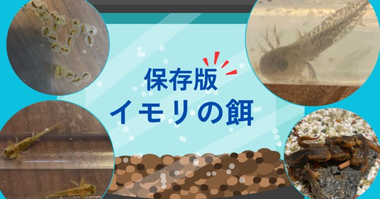 2024年9月3日 2024年9月25日